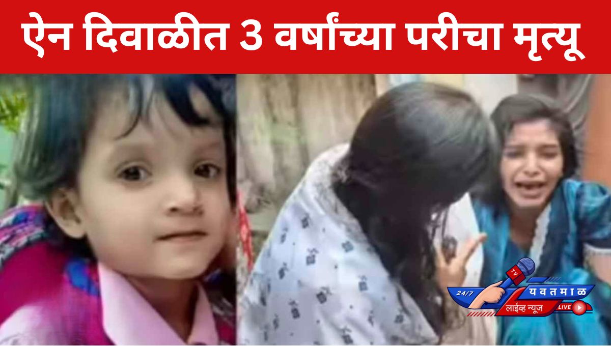 जालना हादरले! ३ वर्षांच्या परीचा भटक्या कुत्र्यांच्या हल्ल्यात मृत्यू