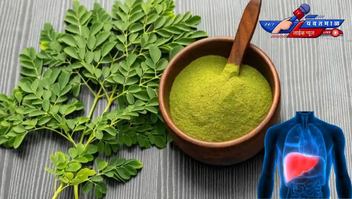 Liver Detox Moringa Leaves